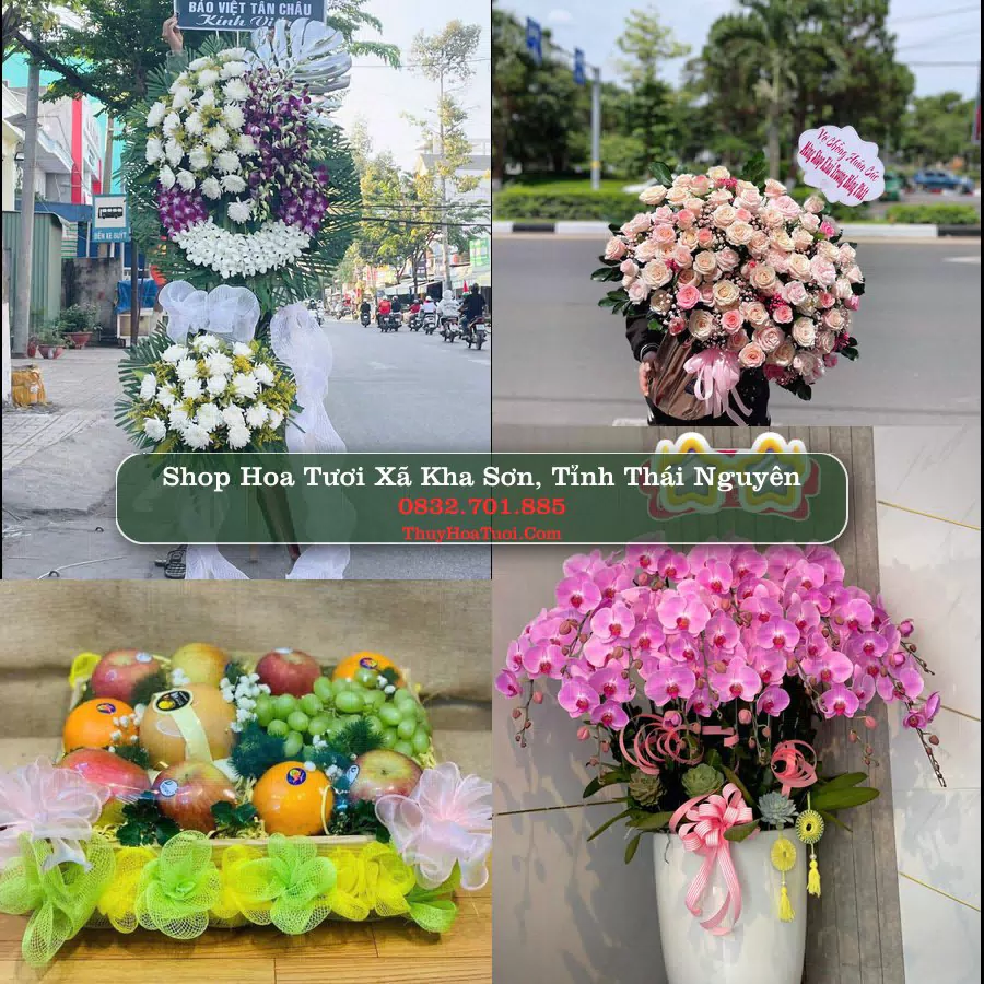 Shop Hoa Tươi Xã Kha Sơn - Tỉnh Thái Nguyên