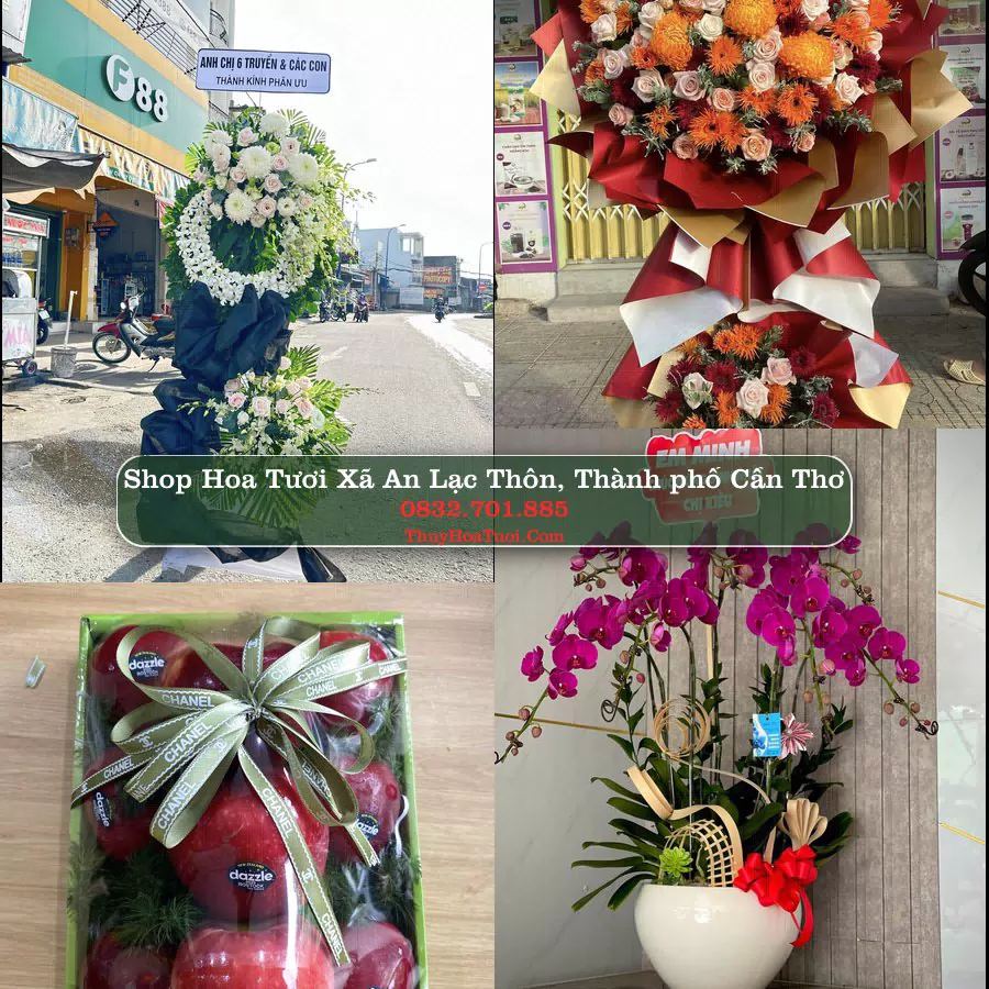 Shop hoa tươi Xã An Lạc Thôn, Thành phố Cần Thơ - ThuyHoaTuoi.Com giao hoa tận nơi
