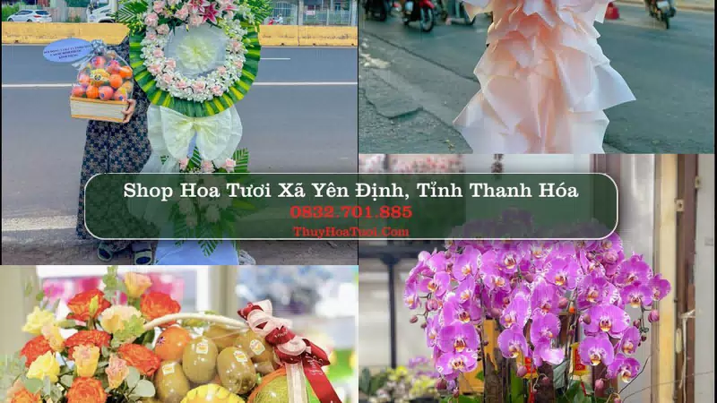 Shop Hoa Tươi Xã Yên Định - Tỉnh Thanh Hóa