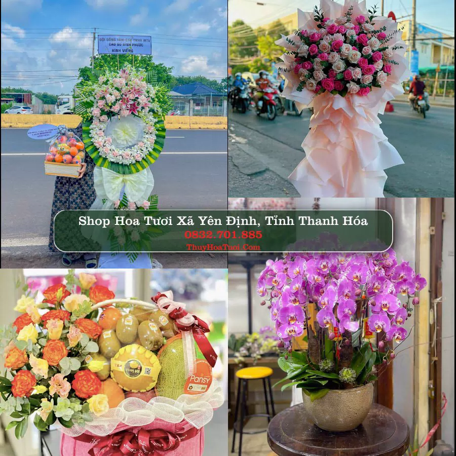 Shop Hoa Tươi Xã Yên Định - Tỉnh Thanh Hóa