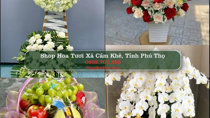 Shop Hoa Tươi Xã Cẩm Khê - Tỉnh Phú Thọ
