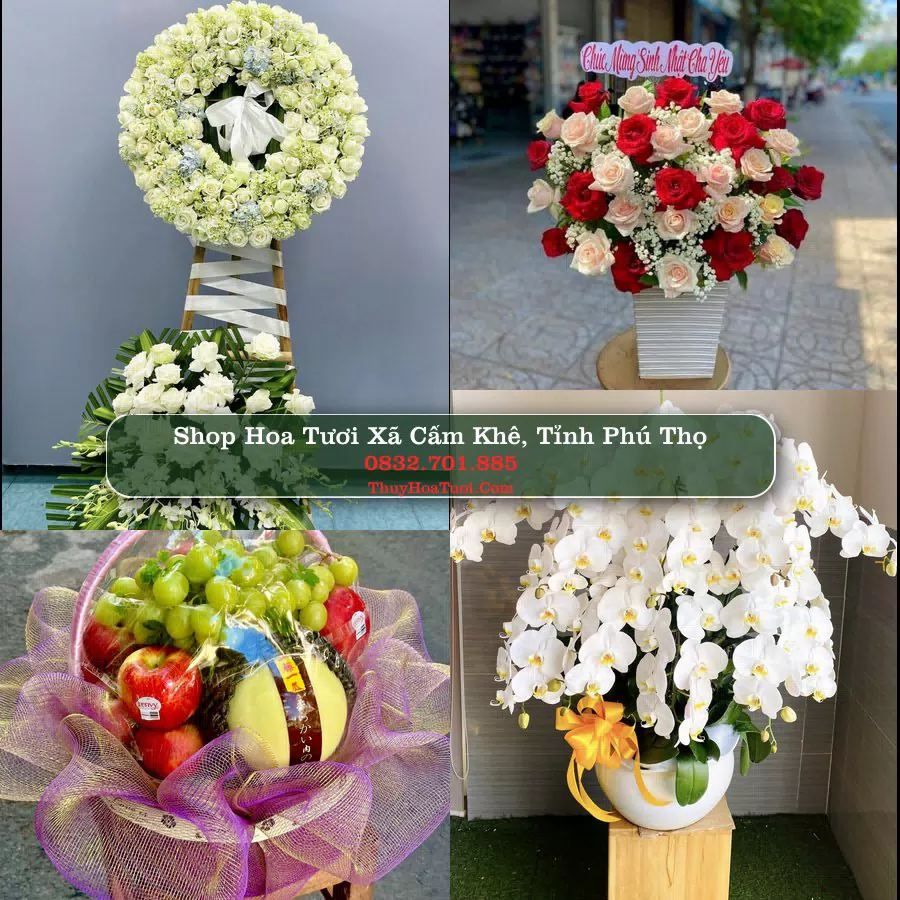 Shop Hoa Tươi Xã Cẩm Khê - Tỉnh Phú Thọ