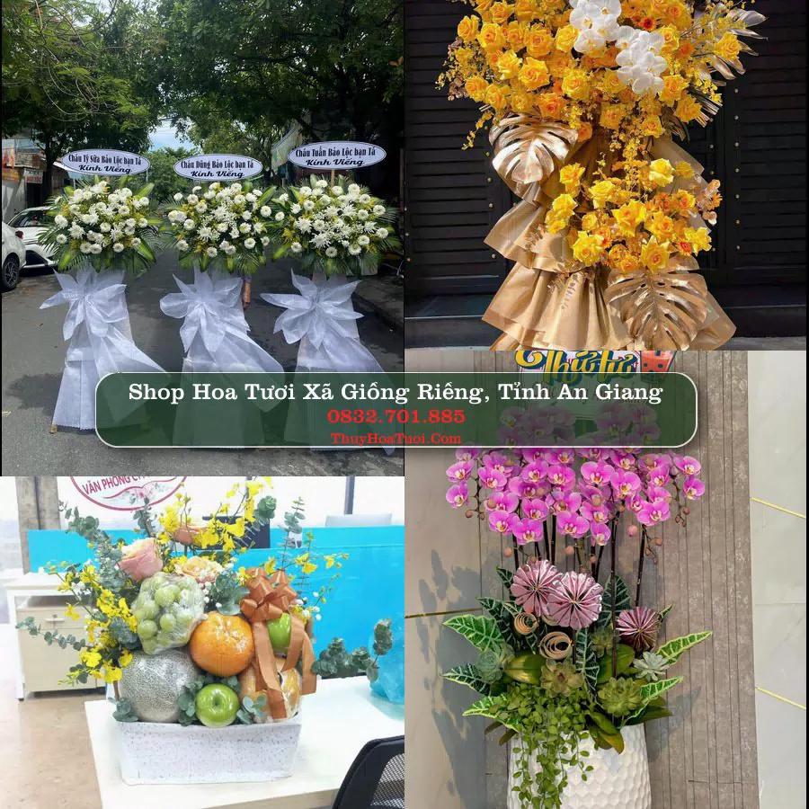 Shop Hoa Tươi Xã Giồng Riềng - Tỉnh An Giang