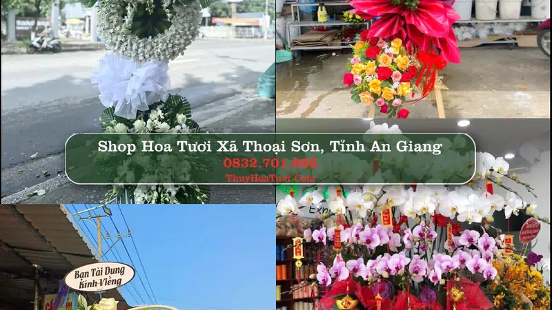 Shop Hoa Tươi Xã Thoại Sơn - Tỉnh An Giang