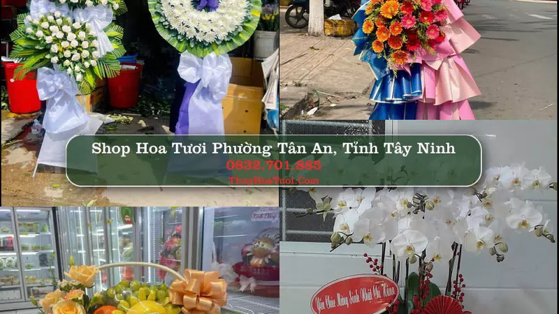 Shop Hoa Tươi Phường Tân An - Tỉnh Tây Ninh