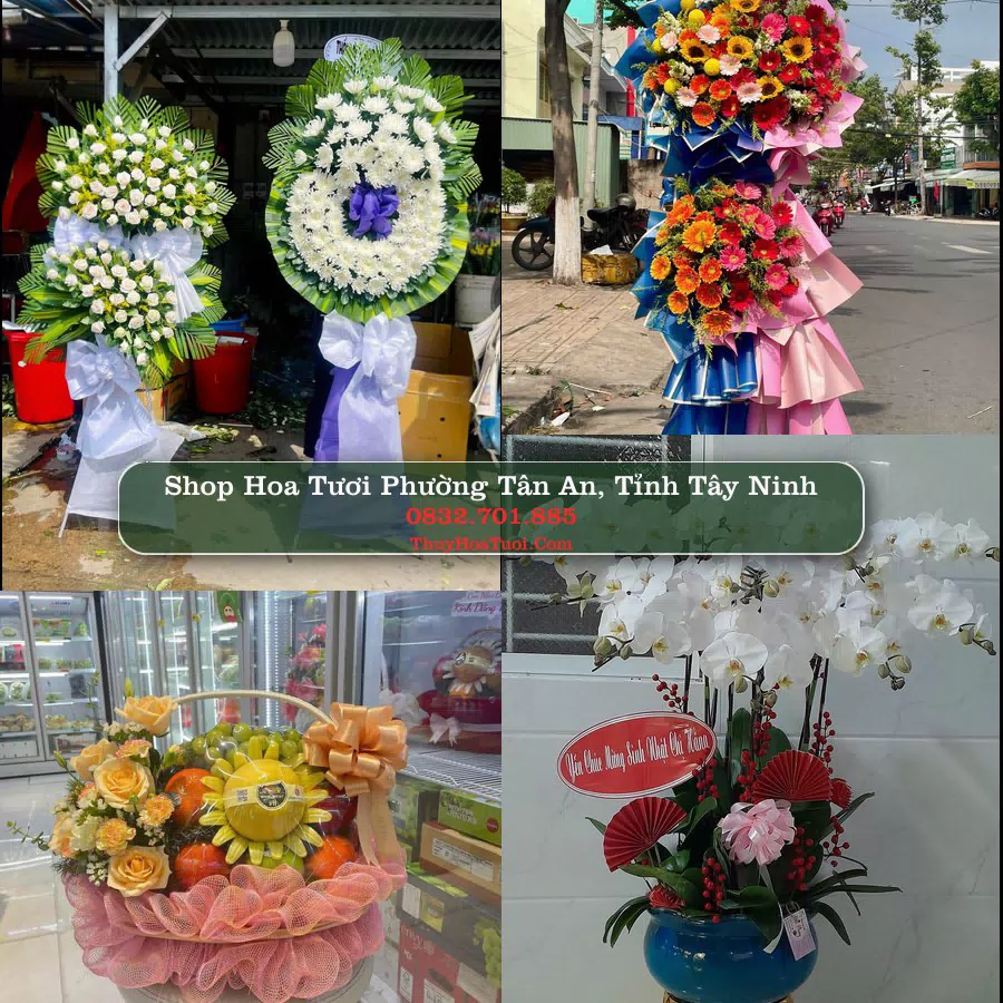Shop Hoa Tươi Phường Tân An - Tỉnh Tây Ninh