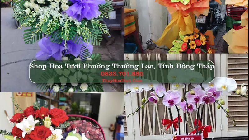 Shop Hoa Tươi Phường Thường Lạc - Tỉnh Đồng Tháp