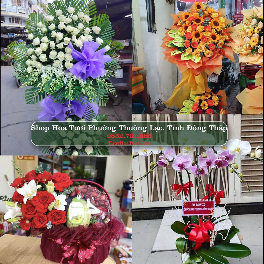 Shop Hoa Tươi Phường Thường Lạc - Tỉnh Đồng Tháp
