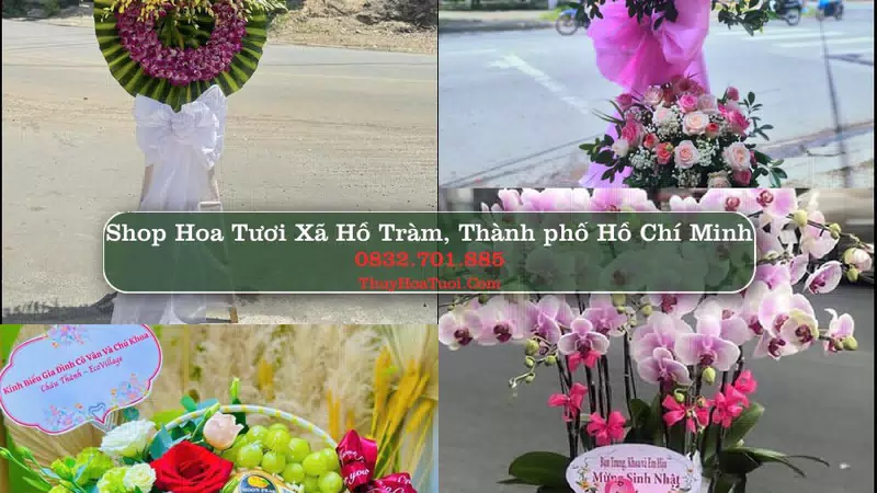 Shop Hoa Tươi Xã Hồ Tràm - Thành phố Hồ Chí Minh