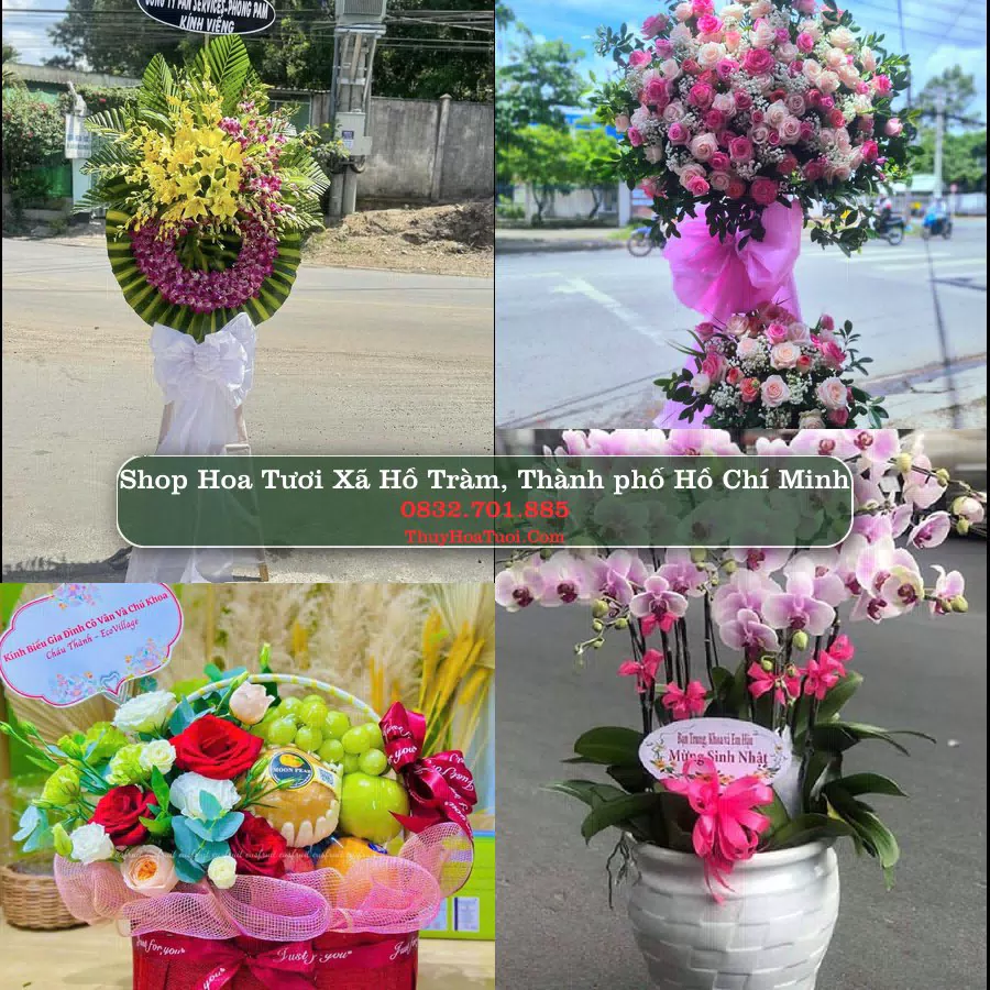 Shop Hoa Tươi Xã Hồ Tràm - Thành phố Hồ Chí Minh