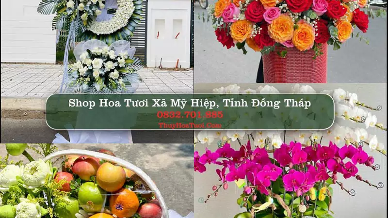Shop Hoa Tươi Xã Mỹ Hiệp - Tỉnh Đồng Tháp