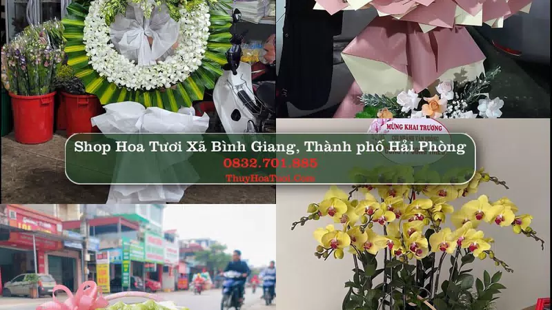 Shop Hoa Tươi Xã Bình Giang - Thành phố Hải Phòng