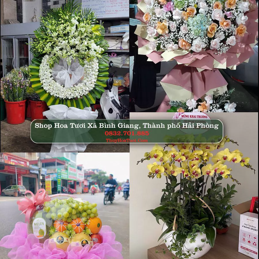 Shop Hoa Tươi Xã Bình Giang - Thành phố Hải Phòng