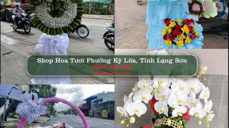 Shop Hoa Tươi Phường Kỳ Lừa - Tỉnh Lạng Sơn
