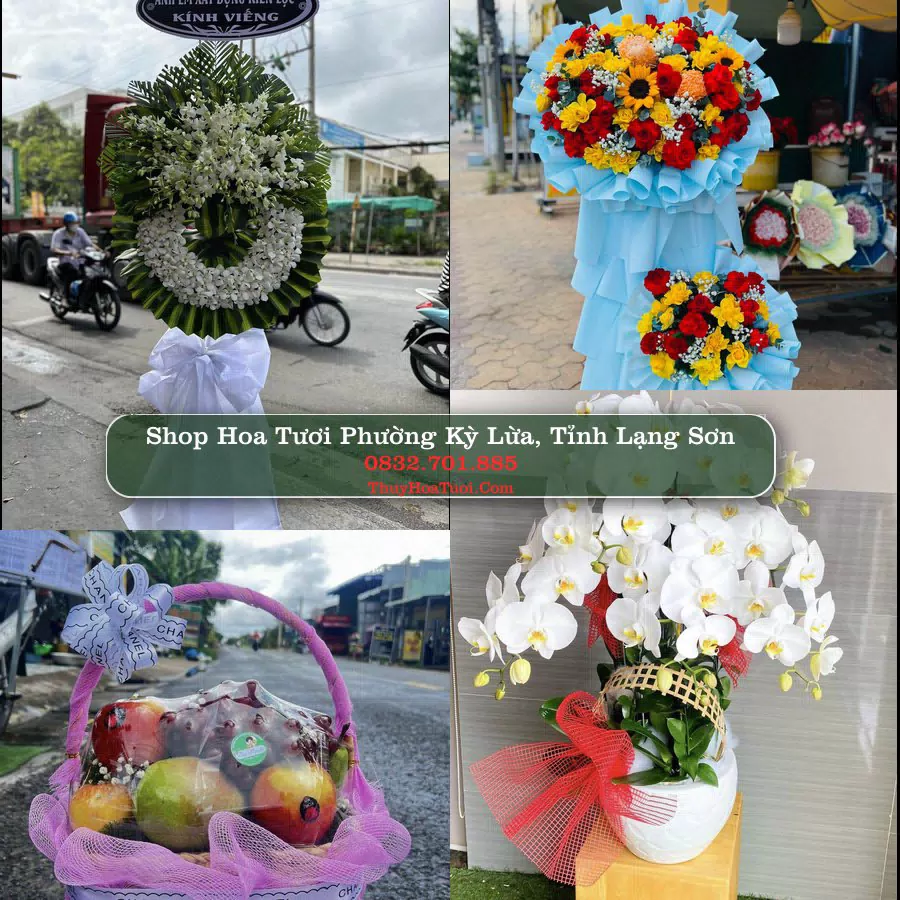Shop Hoa Tươi Phường Kỳ Lừa - Tỉnh Lạng Sơn