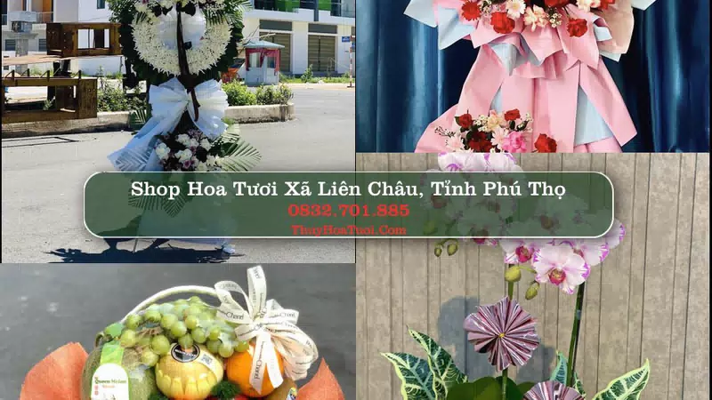 Shop Hoa Tươi Xã Liên Châu - Tỉnh Phú Thọ