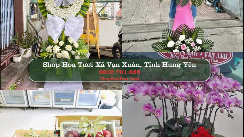 Shop Hoa Tươi Xã Vạn Xuân - Tỉnh Hưng Yên