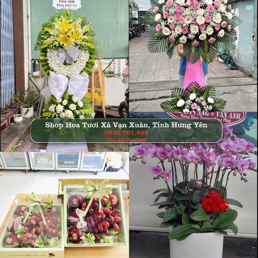 Shop Hoa Tươi Xã Vạn Xuân - Tỉnh Hưng Yên