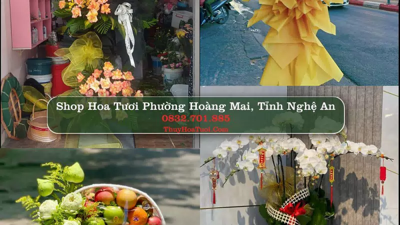 Shop Hoa Tươi Phường Hoàng Mai - Tỉnh Nghệ An