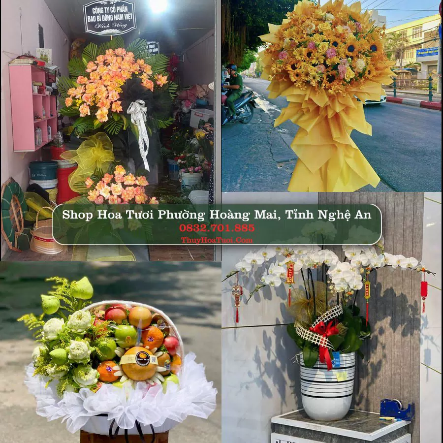 Shop Hoa Tươi Phường Hoàng Mai - Tỉnh Nghệ An