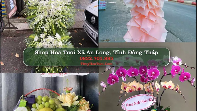 Shop Hoa Tươi Xã An Long - Tỉnh Đồng Tháp