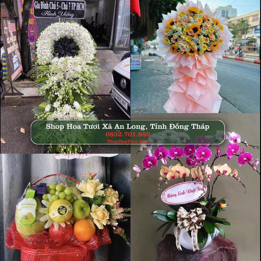 Shop Hoa Tươi Xã An Long - Tỉnh Đồng Tháp
