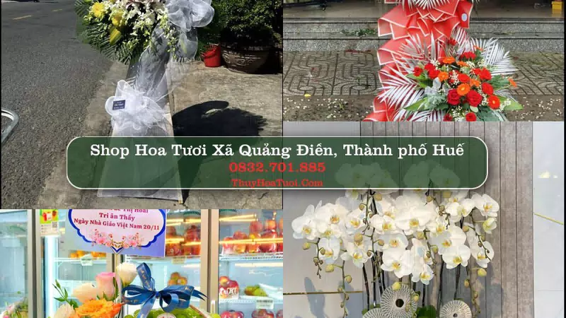 Shop Hoa Tươi Xã Quảng Điền - Thành phố Huế