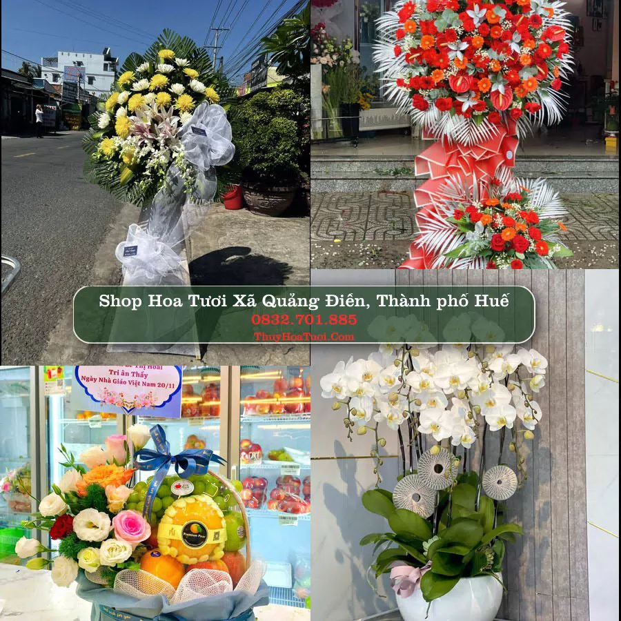 Shop Hoa Tươi Xã Quảng Điền - Thành phố Huế