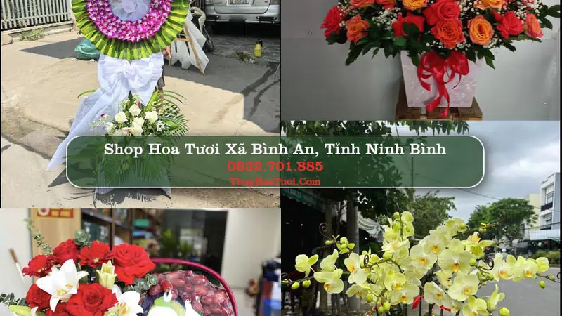 Shop Hoa Tươi Xã Bình An - Tỉnh Ninh Bình