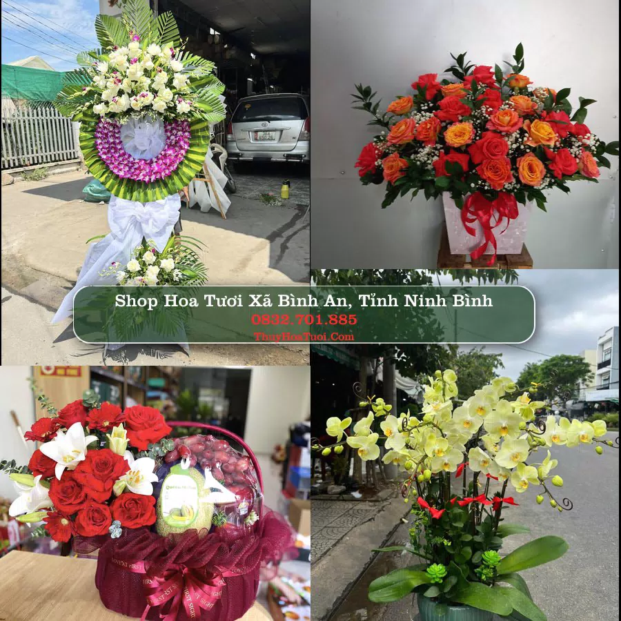 Shop Hoa Tươi Xã Bình An - Tỉnh Ninh Bình