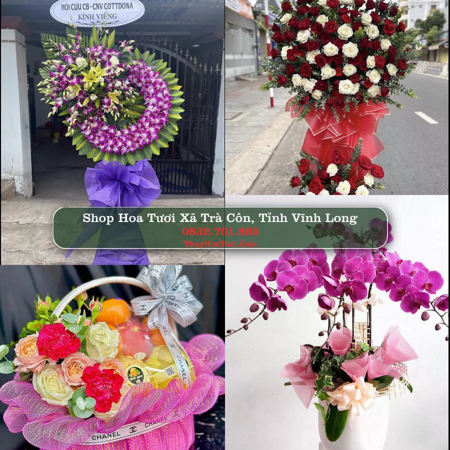 Shop Hoa Tươi Xã Trà Côn - Tỉnh Vĩnh Long