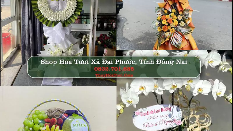 Shop Hoa Tươi Xã Đại Phước - Tỉnh Đồng Nai