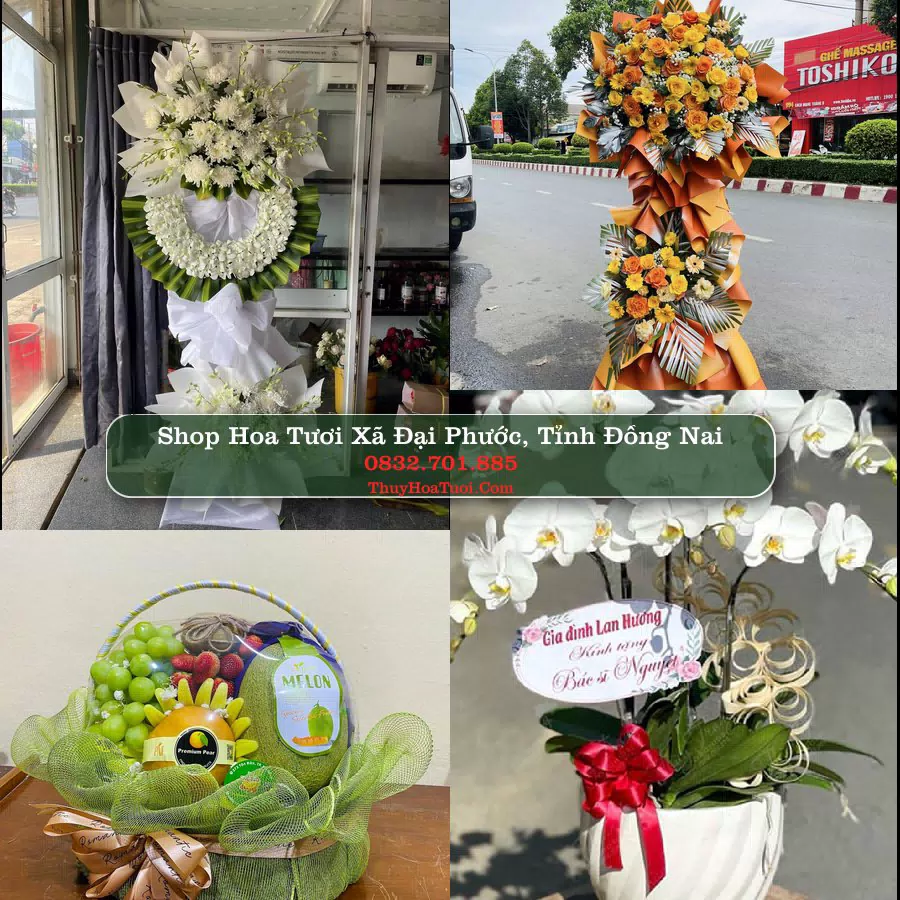 Shop Hoa Tươi Xã Đại Phước - Tỉnh Đồng Nai