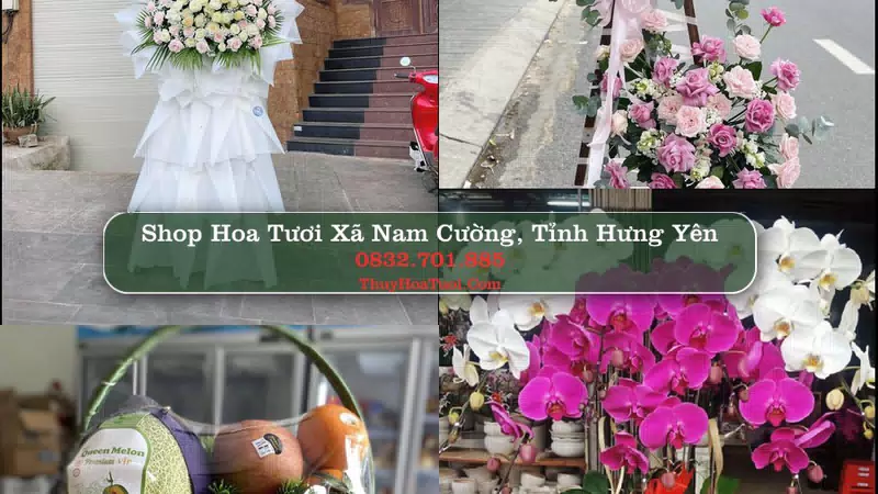 Shop Hoa Tươi Xã Nam Cường - Tỉnh Hưng Yên