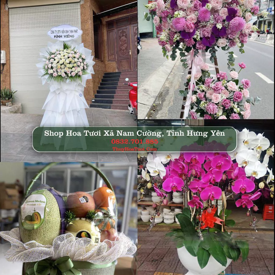 Shop Hoa Tươi Xã Nam Cường - Tỉnh Hưng Yên
