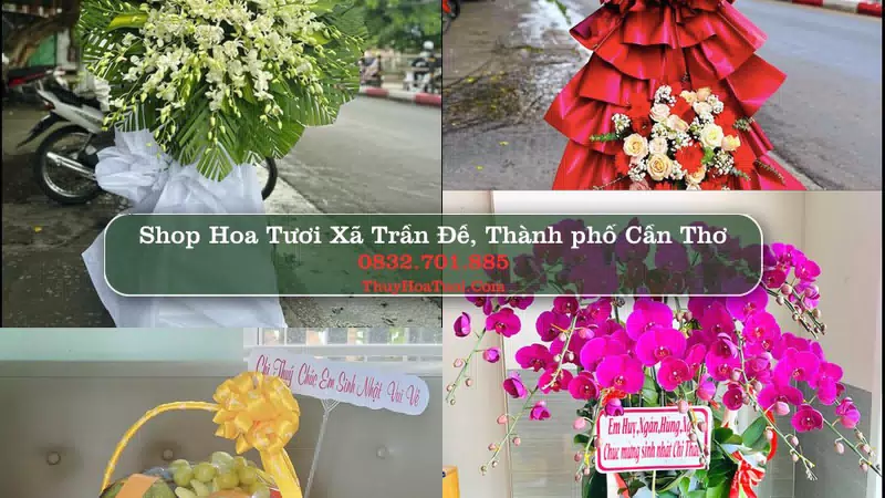 Shop Hoa Tươi Xã Trần Đề - Thành phố Cần Thơ