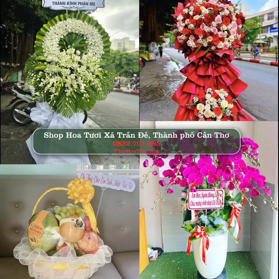 Shop Hoa Tươi Xã Trần Đề - Thành phố Cần Thơ