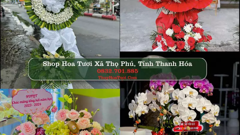 Shop Hoa Tươi Xã Thọ Phú - Tỉnh Thanh Hóa