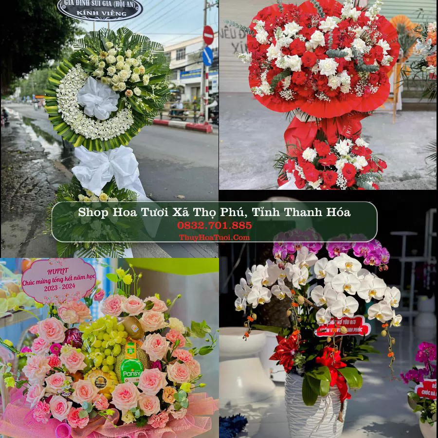 Shop Hoa Tươi Xã Thọ Phú - Tỉnh Thanh Hóa