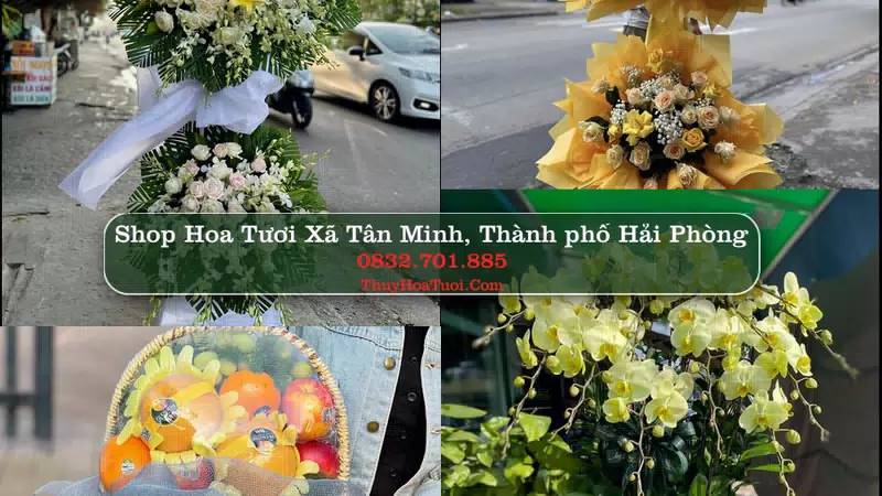 Shop Hoa Tươi Xã Tân Minh - Thành phố Hải Phòng