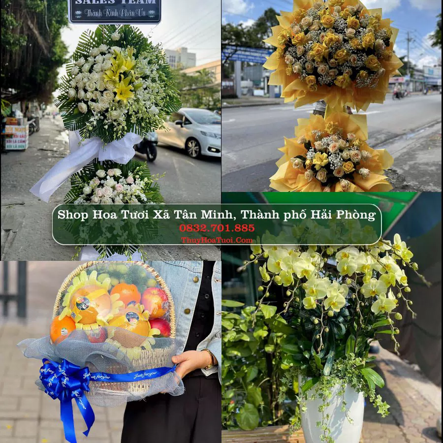 Shop Hoa Tươi Xã Tân Minh - Thành phố Hải Phòng