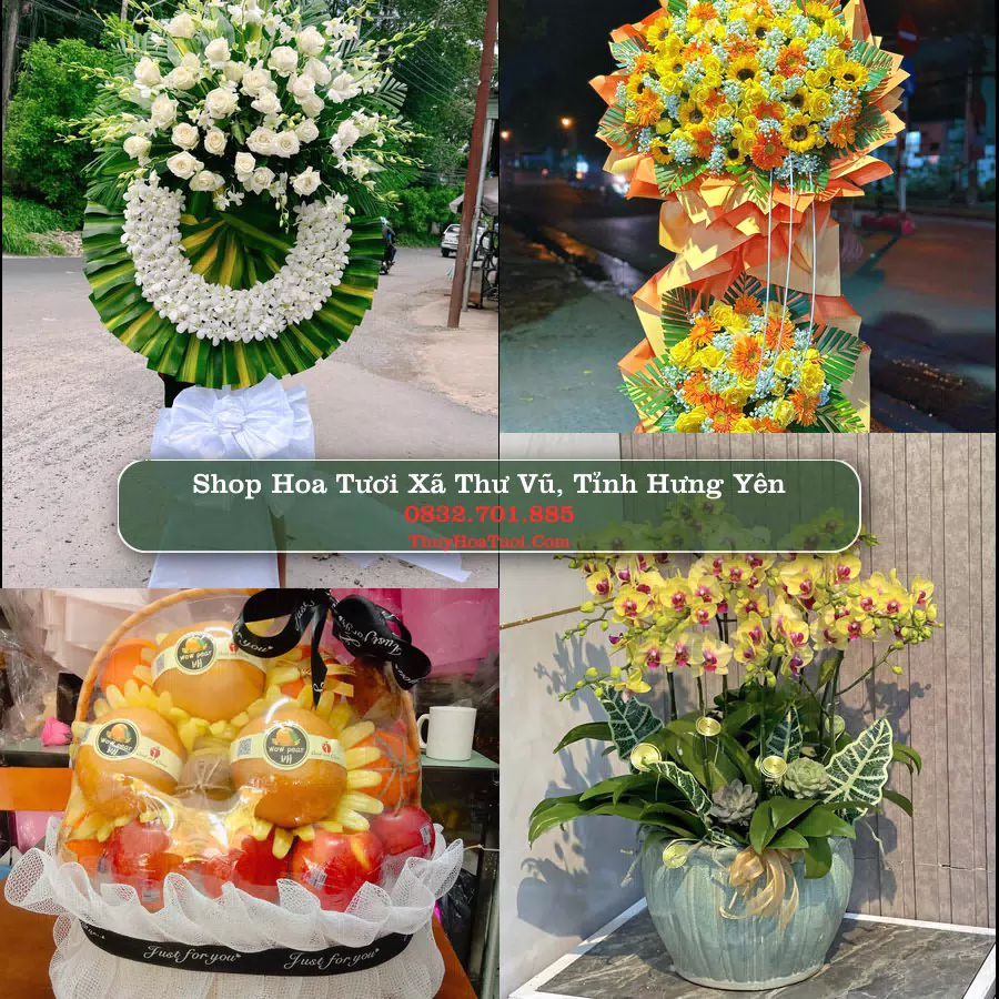 Shop Hoa Tươi Xã Thư Vũ - Tỉnh Hưng Yên