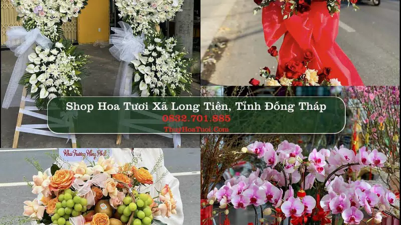 Shop Hoa Tươi Xã Long Tiên - Tỉnh Đồng Tháp