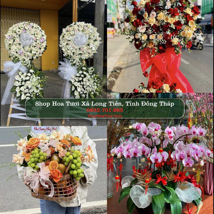 Shop Hoa Tươi Xã Long Tiên - Tỉnh Đồng Tháp