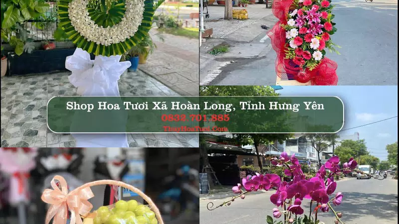 Shop Hoa Tươi Xã Hoàn Long - Tỉnh Hưng Yên