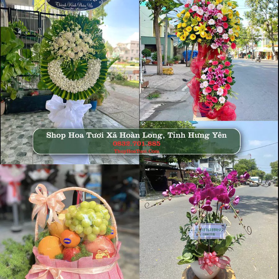 Shop Hoa Tươi Xã Hoàn Long - Tỉnh Hưng Yên