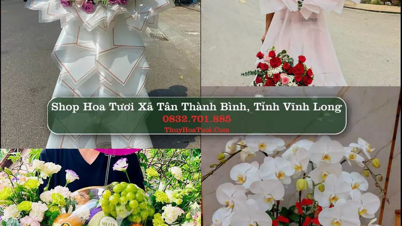Shop Hoa Tươi Xã Tân Thành Bình - Tỉnh Vĩnh Long