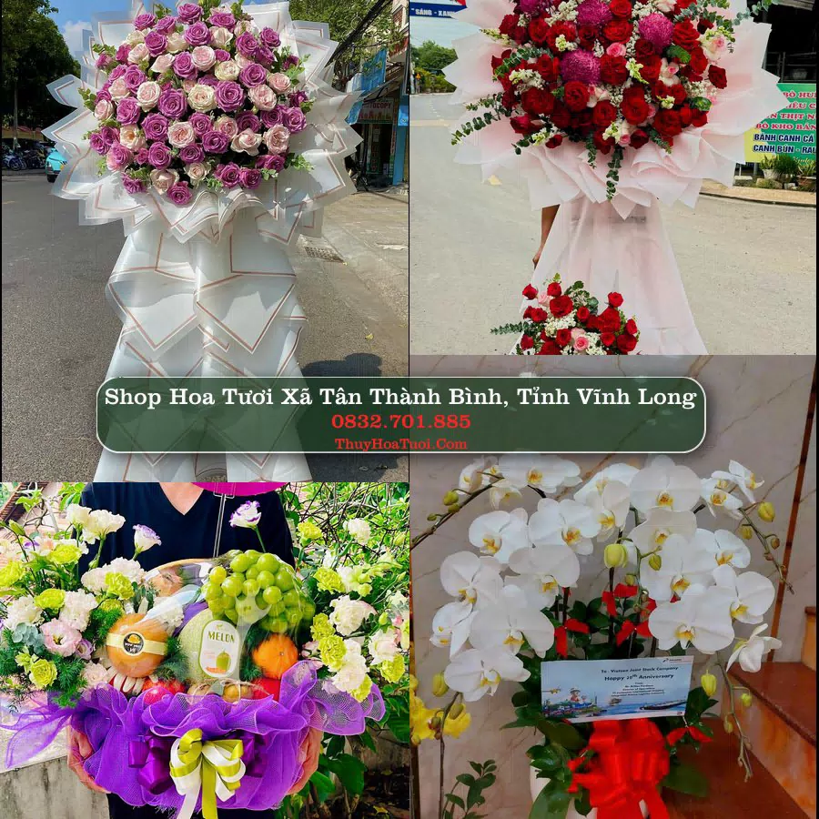 Shop Hoa Tươi Xã Tân Thành Bình - Tỉnh Vĩnh Long
