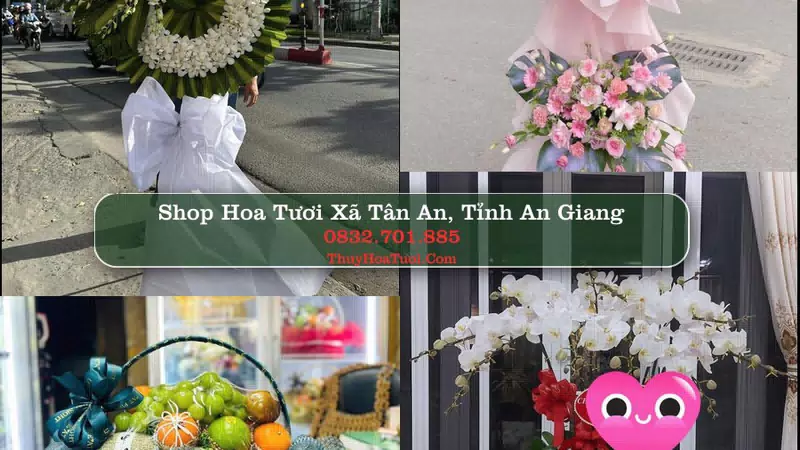 Shop Hoa Tươi Xã Tân An - Tỉnh An Giang
