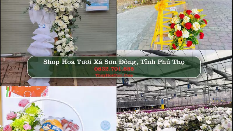 Shop Hoa Tươi Xã Sơn Đông - Tỉnh Phú Thọ